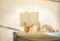 Beach Summer Holiday Vacation Traveling Relaxation Reading Concept. Woman Reading Book Novel On the summer beach Royalty Free Stock Photo