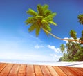 Beach Summer Relaxation Tranquil Scene Concept Royalty Free Stock Photo
