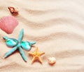 Beach. Summer. Starfish in sunglasses and seashell on the seashore.