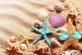 Beach. Summer. Starfish in sunglasses and seashell on the seashore.