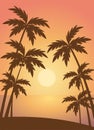 Beach summer with trees lanscape sea scenery sunset scenery vector Royalty Free Stock Photo
