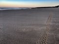 Beach sun rise ocean Landscape