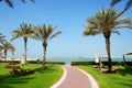 The beach with sunbeds on the green lawn and palm trees shadows in luxury hotel Royalty Free Stock Photo