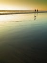 Beach at sunset