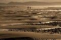 Beach at sunset