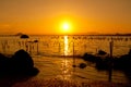 Beach sunset with clams farm Royalty Free Stock Photo