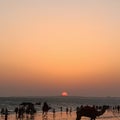 Beach sunset at mandvi