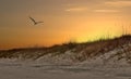 Hatteras Island Dunes Sunset On North Carolina Outer Banks