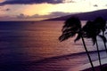 Beach sunset with palms silhoettes