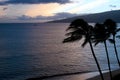 Beach sunset with palms silhoettes