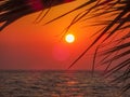 Beach sunset. Romantic beach sunset. Sunset on the beach