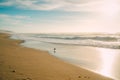 Beach sunset and silhouette of bird.  Beautiful California Central Coast Royalty Free Stock Photo