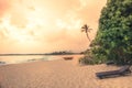 Beach sunset travel vacation lifestyle landscape with palm trees wide sand coastline waves with scenic orange sunset sky in Sri La Royalty Free Stock Photo