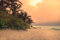 Beach sunset travel vacation lifestyle landscape with palm trees wide sand coastline waves with scenic orange sunset sky in Sri La Royalty Free Stock Photo