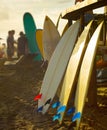 Beach surfers rental surfboards sunset Royalty Free Stock Photo