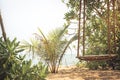 Beach swing palm trees tropical vintage background travel lifestyle