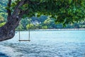 A beach swing on a tropical beach under a large green tree, a summer relaxing landscape with a calm sea, an amazing