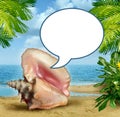 Beach Talk Royalty Free Stock Photo