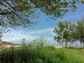 Beach tanjungbumi bangkalan view sky tree Royalty Free Stock Photo