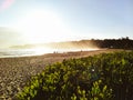 Beach at tathra nsw Royalty Free Stock Photo