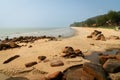 Beach of Teluk Chempedak, Kuantan in Malaysia