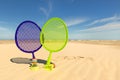 Beach tennis game Royalty Free Stock Photo