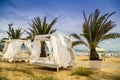 Beach tent and palms Royalty Free Stock Photo