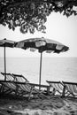 Beach in Thailand with chaise longues and parasols Royalty Free Stock Photo