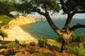 Beach in Thassos island, Greece Royalty Free Stock Photo