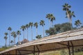 Beach thatched canopy in a tropical resort for summer holidays Royalty Free Stock Photo