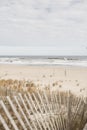 A beach and fence view in Long Island, NY