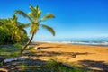 Beach of Tortuguero, Costa Rica