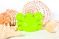 Beach toys and seashells on white background Royalty Free Stock Photo