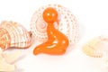 Beach toys and seashells on white background Royalty Free Stock Photo