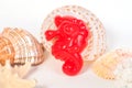 Beach toys and seashells on white background Royalty Free Stock Photo