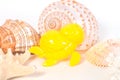 Beach toys and seashells on white background Royalty Free Stock Photo