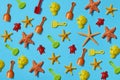 beach toys and starfish on a blue background