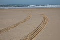 beach traces of tyre car in sand coast sea in nature background Royalty Free Stock Photo