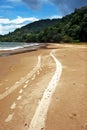 Trinidad Beach tracks Royalty Free Stock Photo