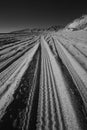 Beach Tracks Infrared 2 Royalty Free Stock Photo