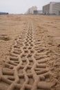 Beach Tracks in the Sand