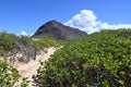 Beach trail with beautiful scenery, KaÃ¢â¬â¢ena Point, Oahu, Hawaii