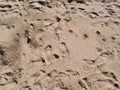 Beach travel - young girl walking on sandy beach Royalty Free Stock Photo