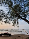 Beach and tree waves landscape alam