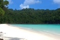 A beach with trees and water generated by ai Royalty Free Stock Photo