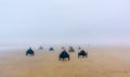 Beach tricycles in fog Royalty Free Stock Photo