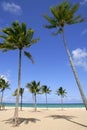 Beach in tropical Florida sunny day Royalty Free Stock Photo