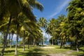 Beach on the tropical island. Clear blue water, sand and palm trees in Tahiti. Royalty Free Stock Photo