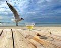 Seagull and glass of juice  on wooden table top at beach resort   sea landscape ,blue sky,marine water sunny day rel Royalty Free Stock Photo