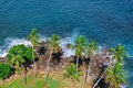 Beach tropical ocean with coral, palm trees and lagoon. Top view Royalty Free Stock Photo